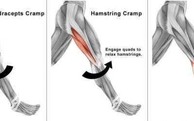 What causes those nasty muscle cramps?